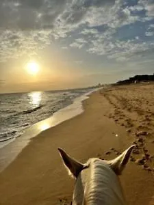 Algarve דירה אלבופיירה